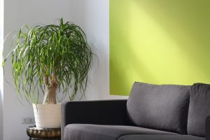 Małe jest piękne i wygodne, czyli salon w stylu skandynawskim do 20 m2