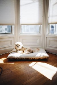 Jak rolety okienne mogą obniżyć temperaturę pomieszczenia ?