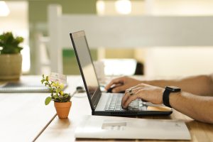Jakie usługi oferuje MZ MarTech?